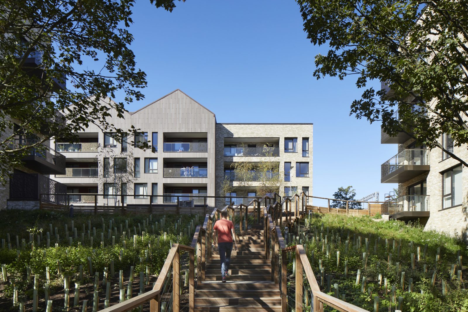 The Pavilions, Caledonian Road | Jestico + Whiles